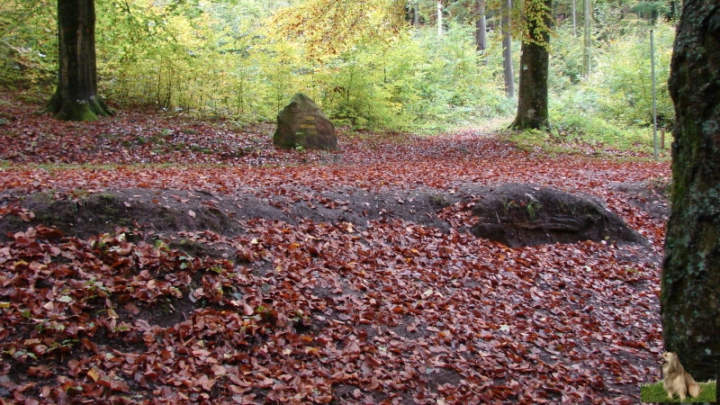 Ritterstein Nr. 214-5 Queich-Ursprung.JPG - Ritterstein Nr.214 Queich - Ursprung